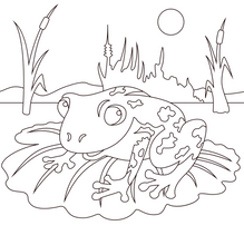 Load image into Gallery viewer, Fantasy 10pc Sand Art Craft Pack